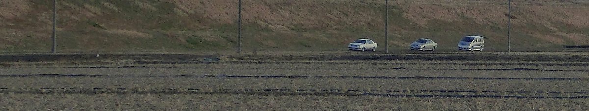 ��̕���