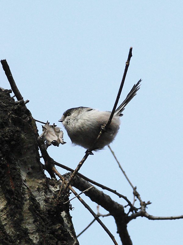 ��̕���