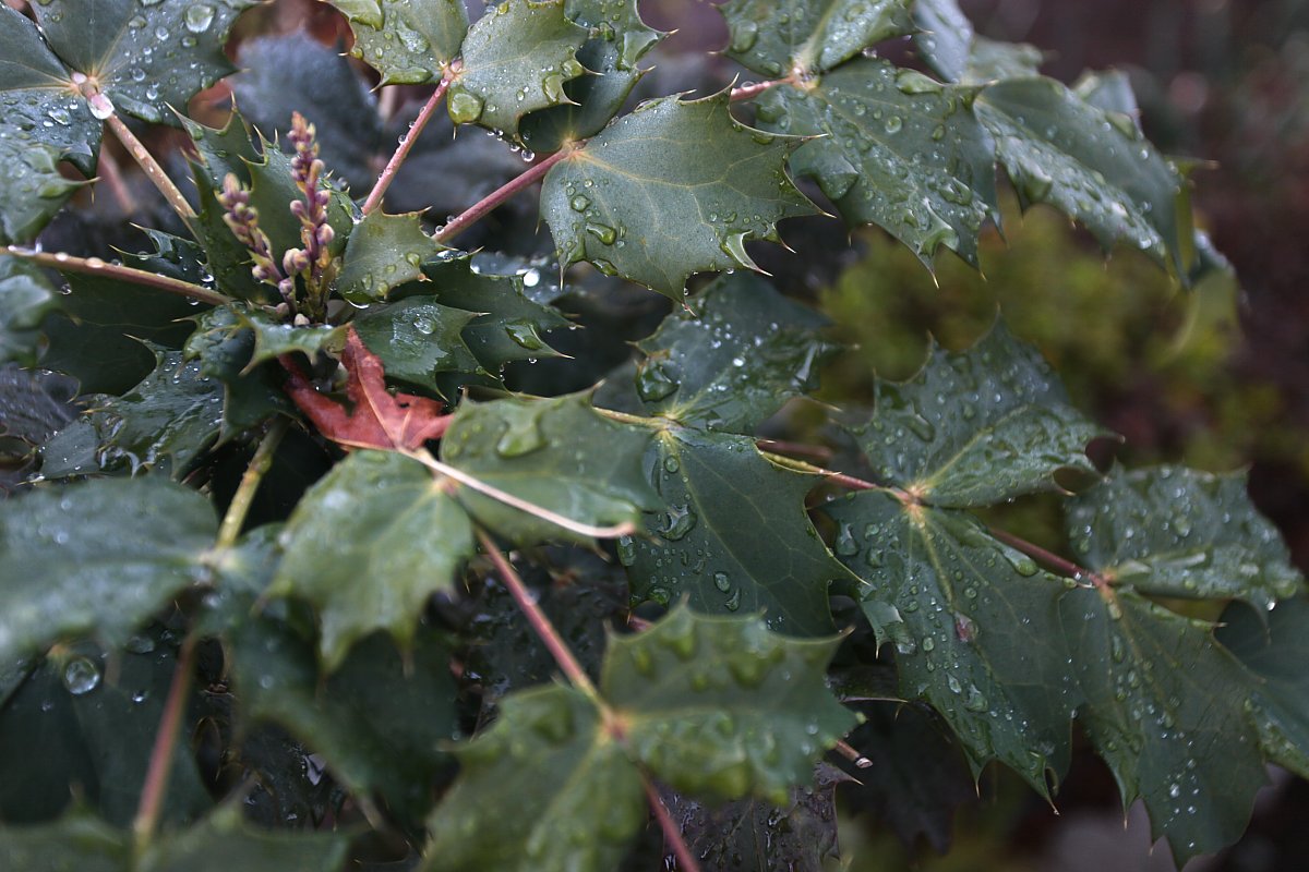 ��̕���