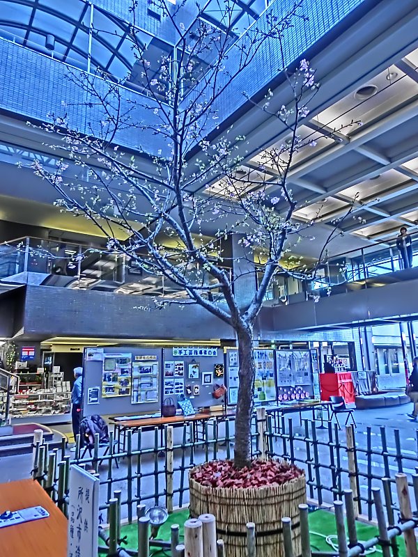 ��̕���