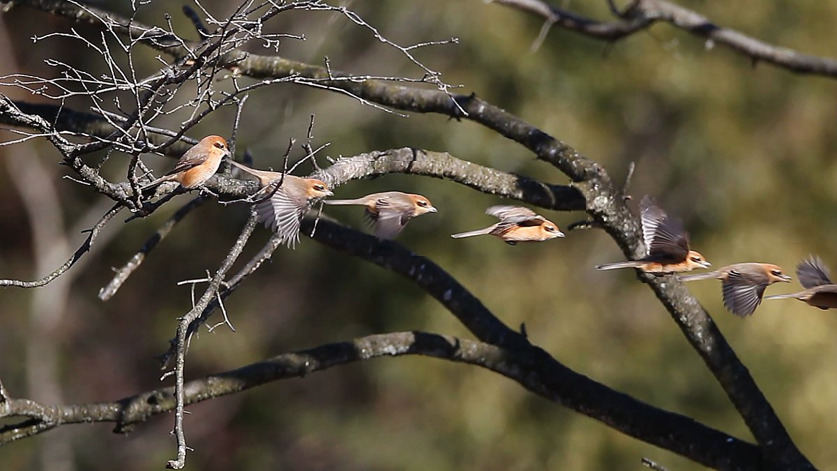 ��̕���