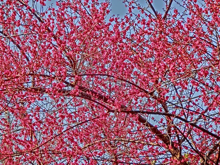 ��̕���