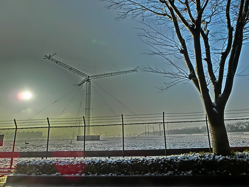 ��̕���