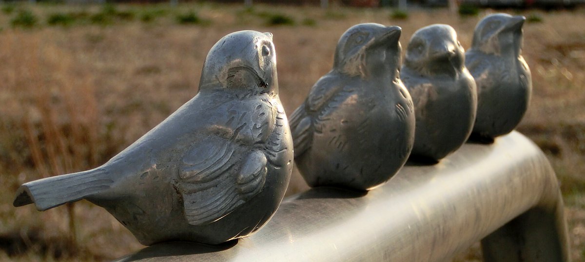 ��̕���