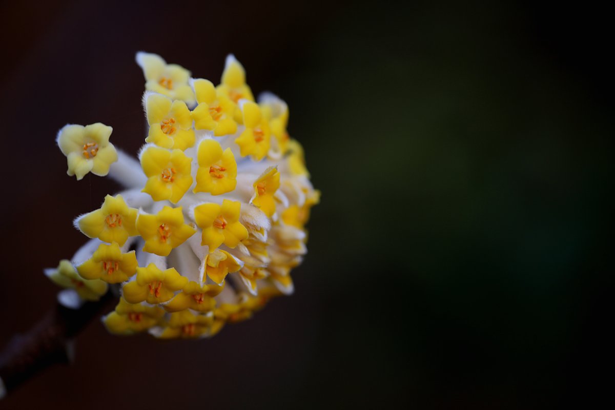 ��̕���