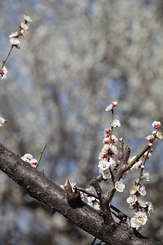 ��̕���