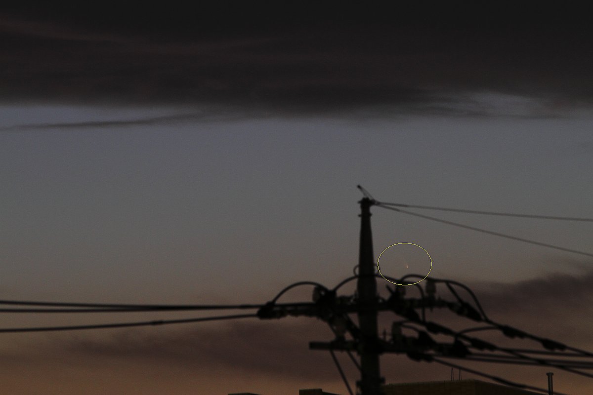 ��̕���