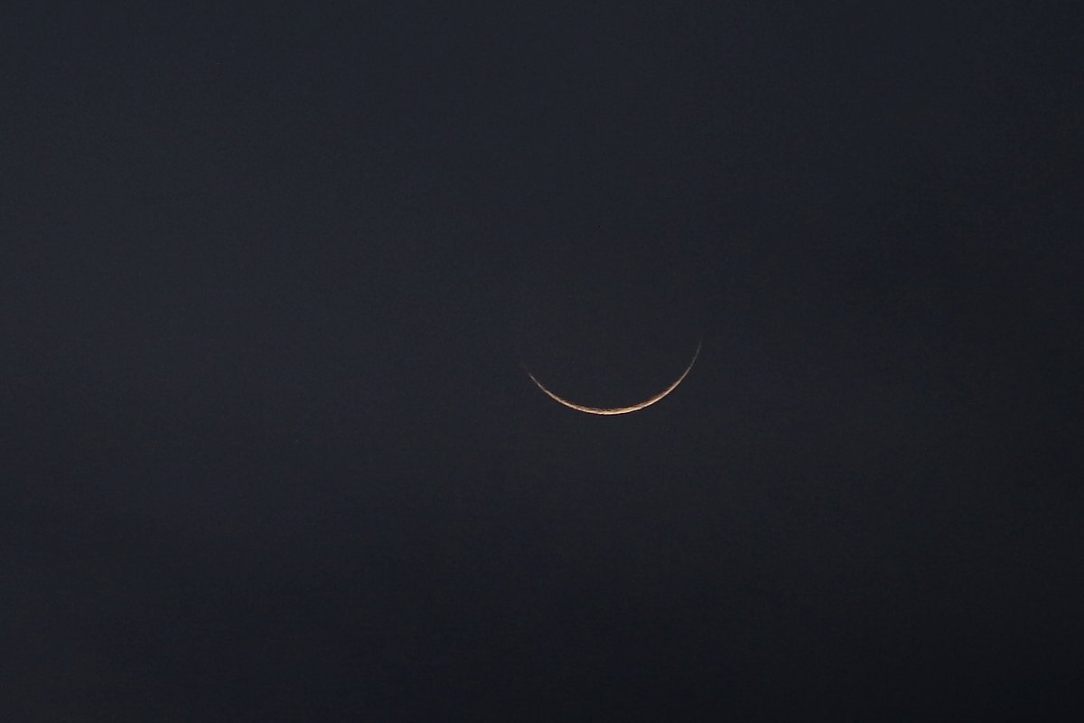 ��̕���