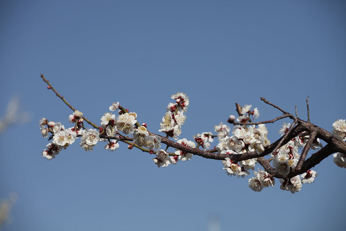 ��̕���