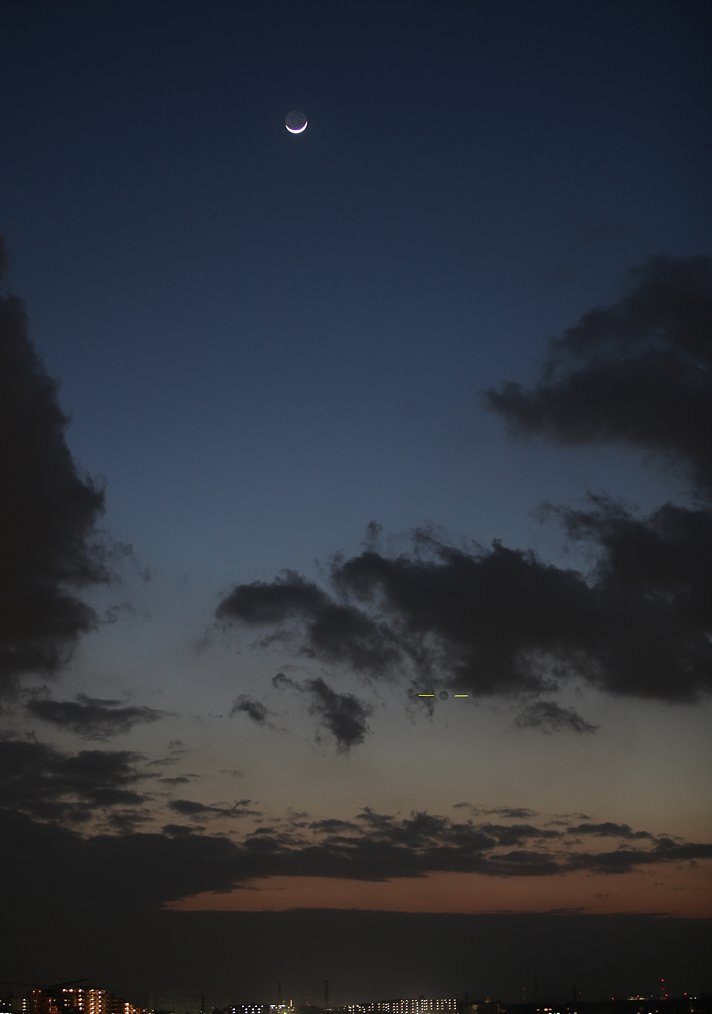 ��̕���