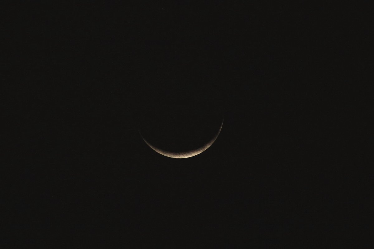 ��̕���