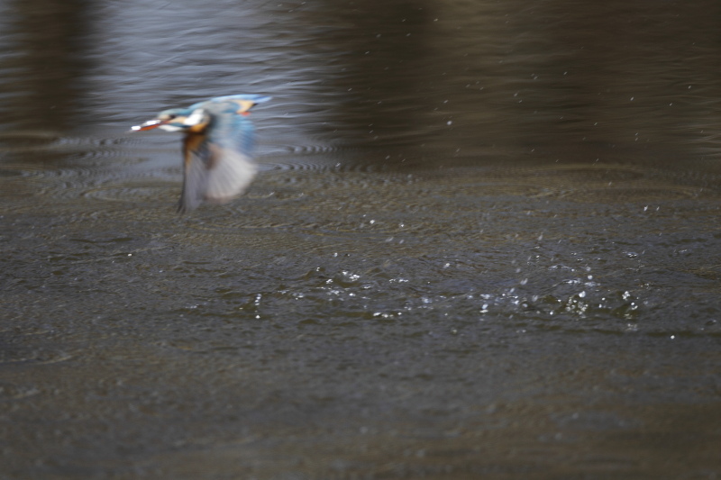 ��̕���