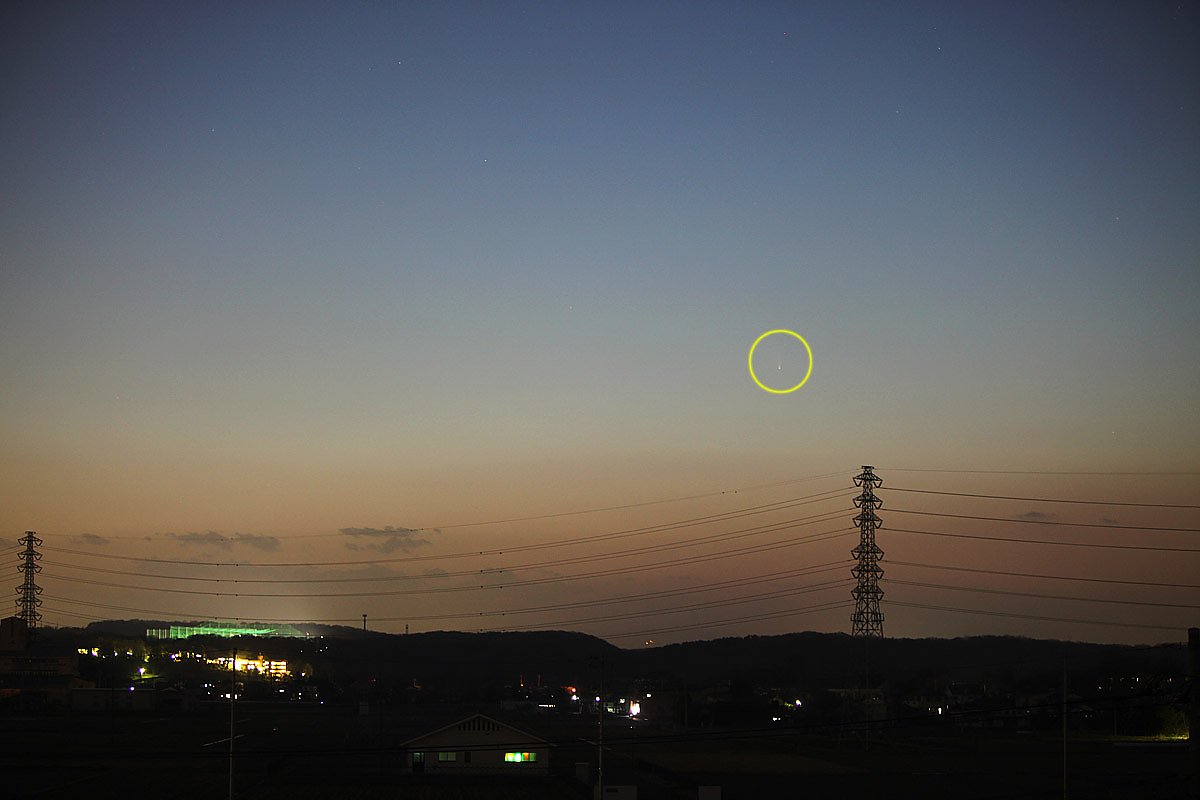 ��̕���