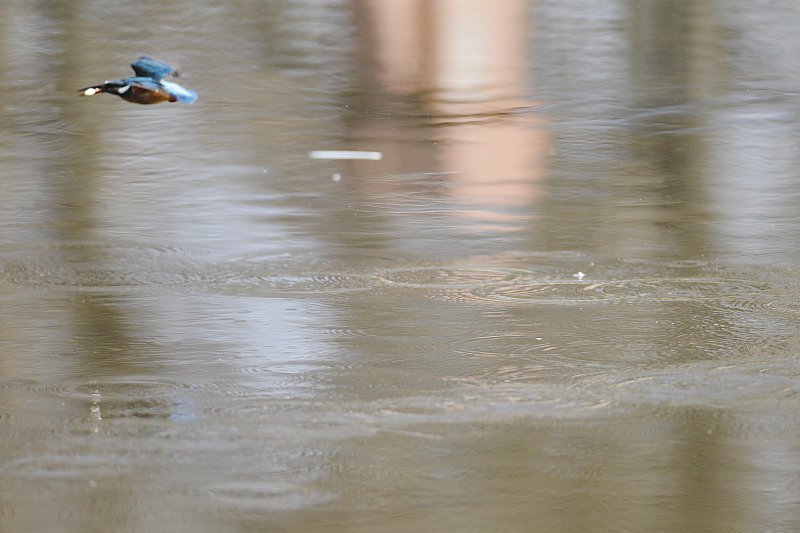 ��̕���