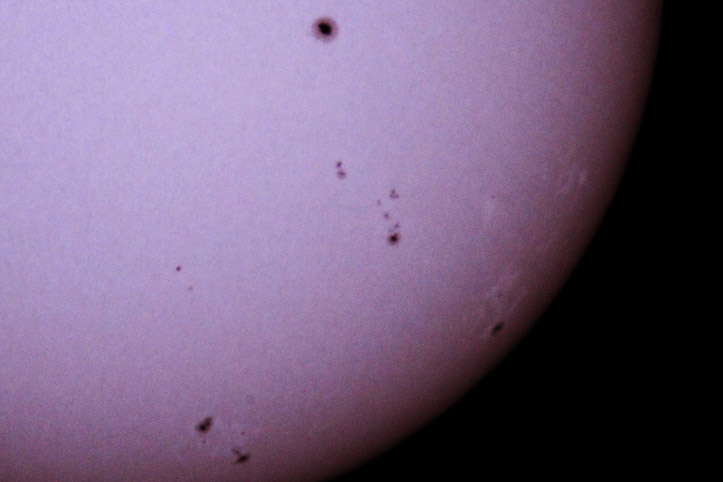 ��̕���