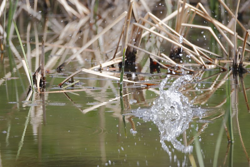 ��̕���