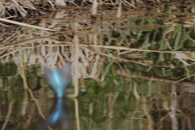 ��̕���