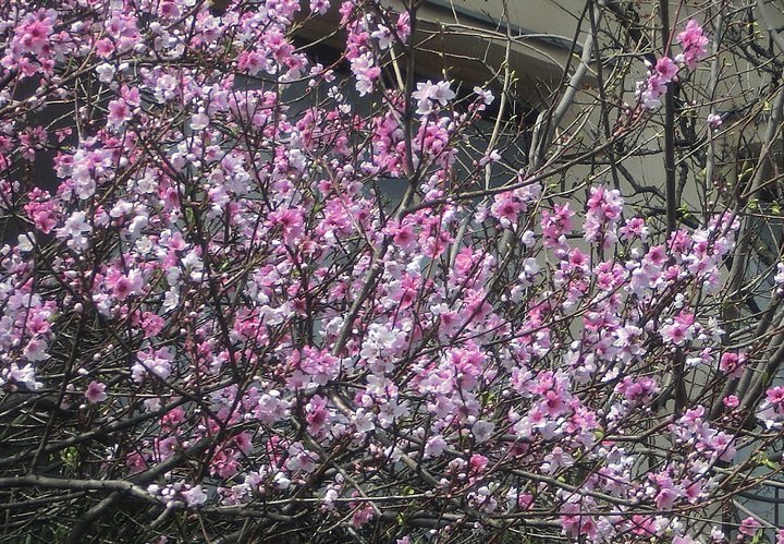 ��̕���