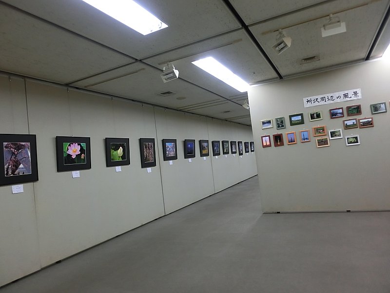 ��̕���