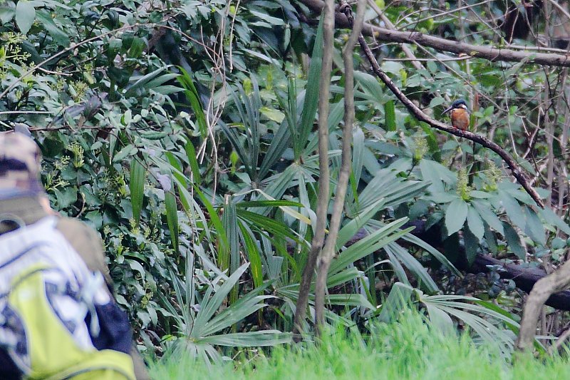 ��̕���