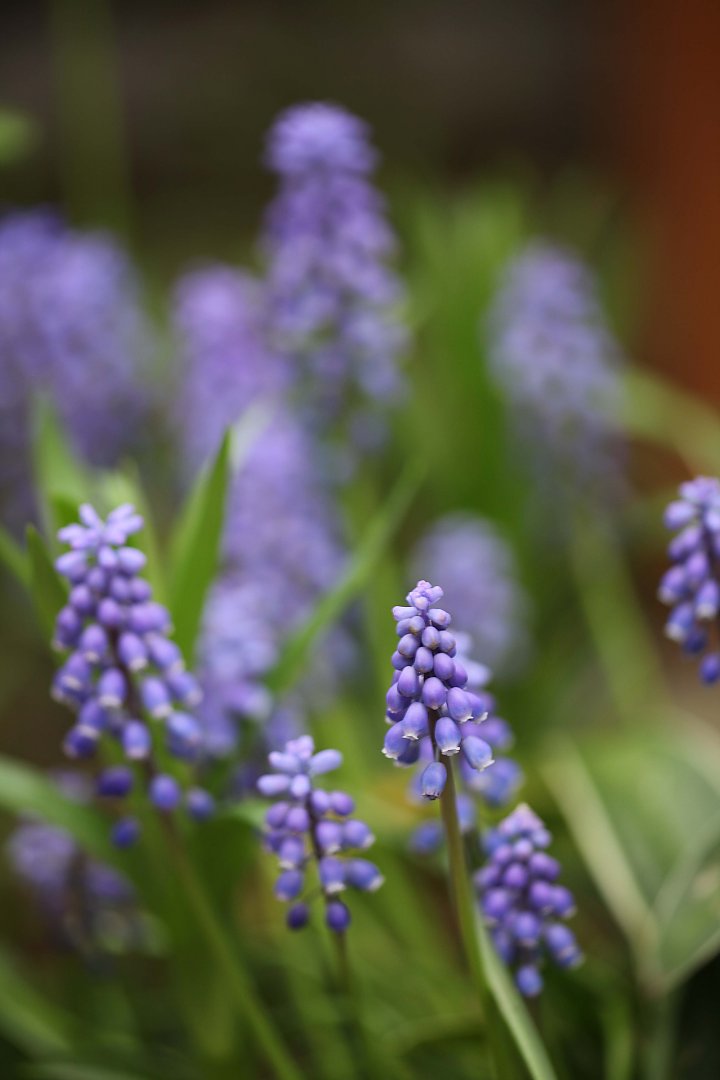 ��̕���