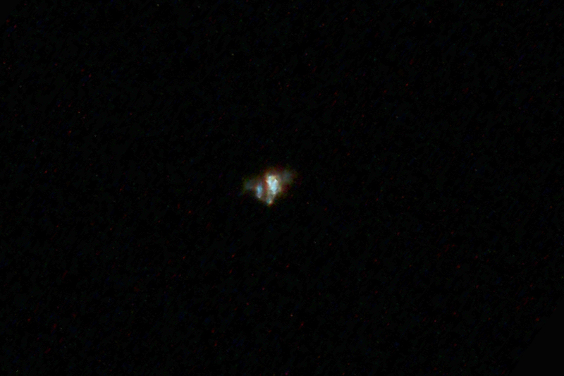 ��̕���