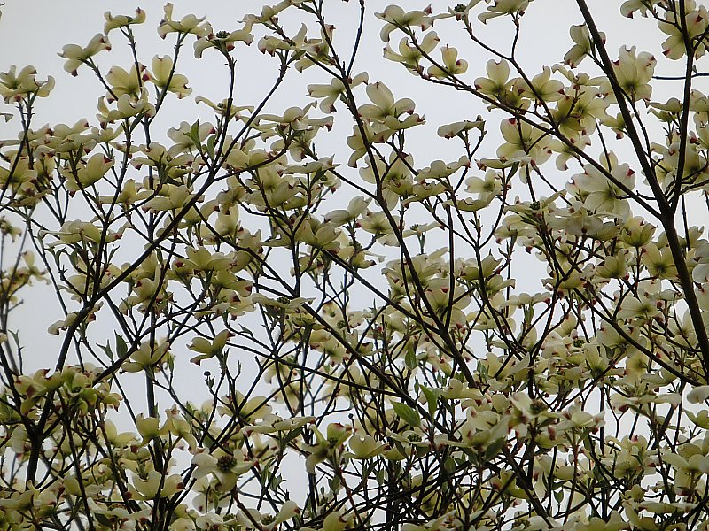 ��̕���