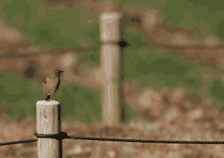 ��̕���