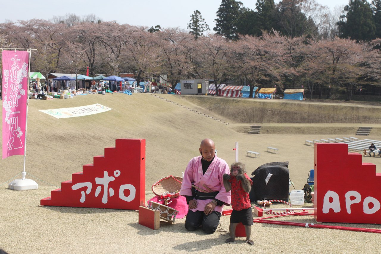 ��̕���