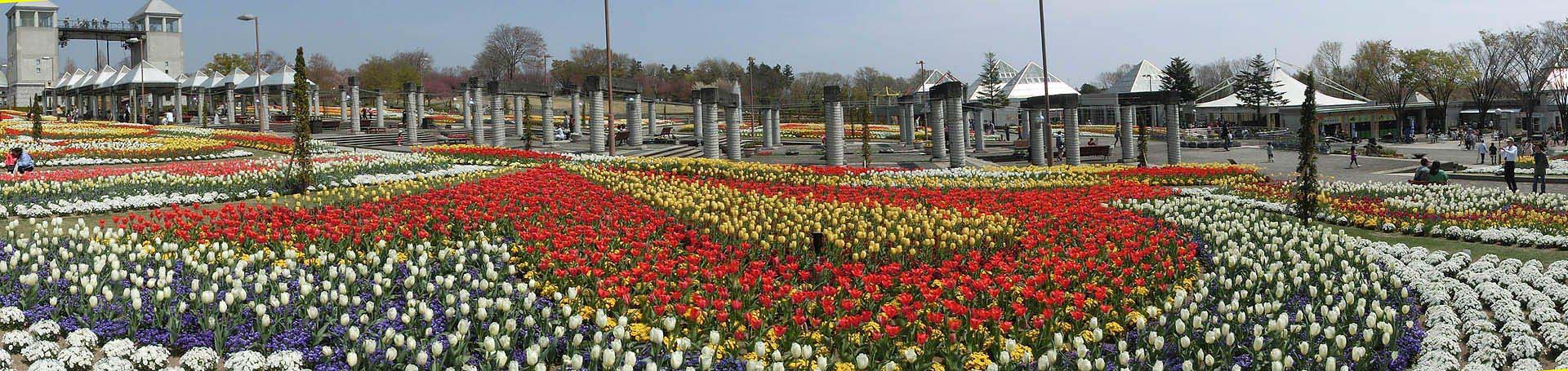 ��̕���