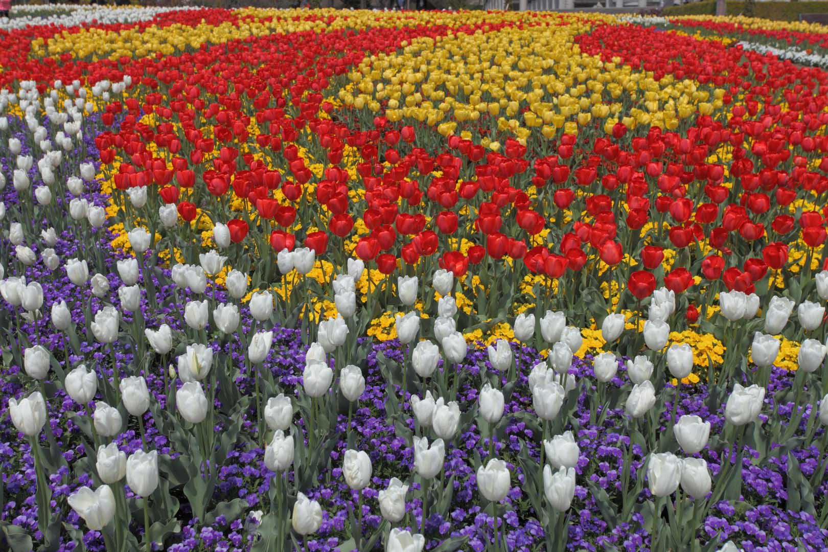 ��̕���