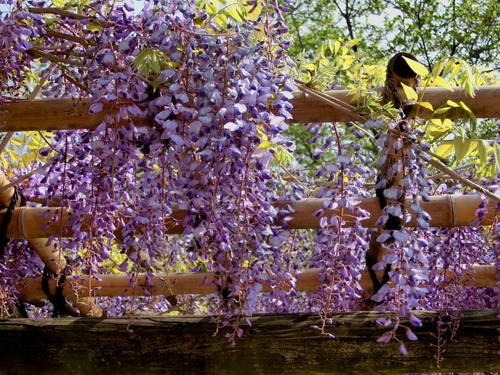 ��̕���