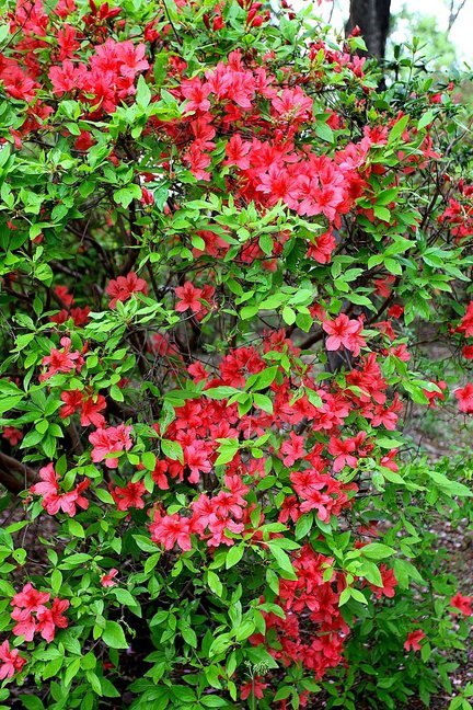 ��̕���