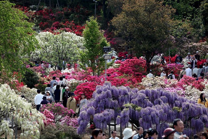 ��̕���