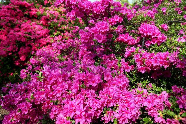 ��̕���