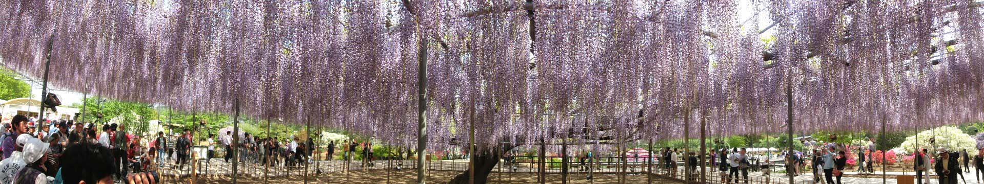 ��̕���