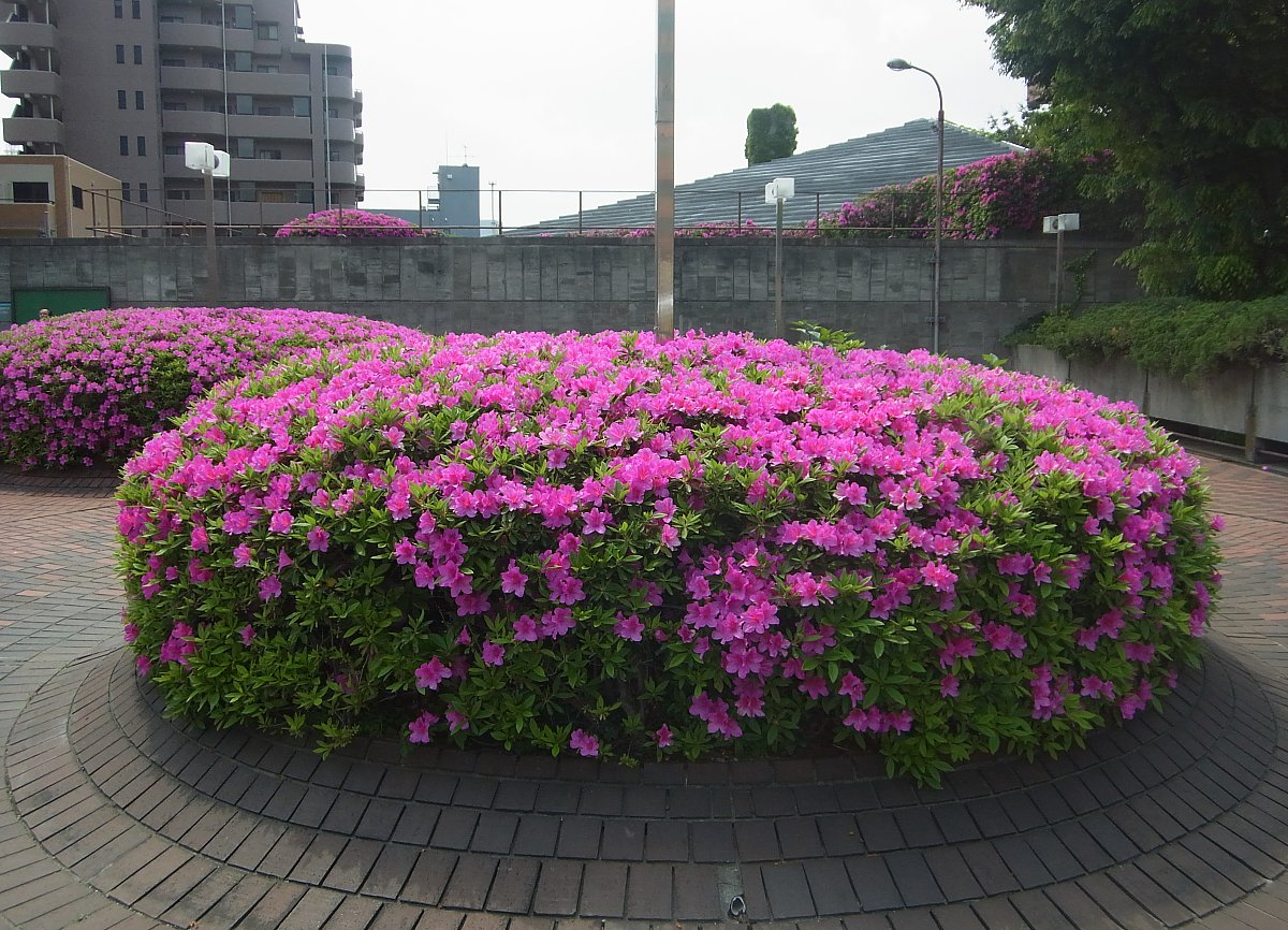 ��̕���