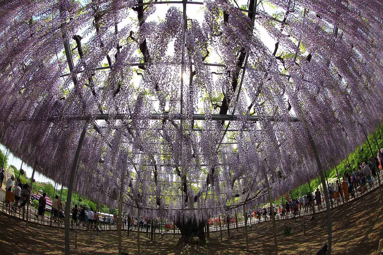 ��̕���