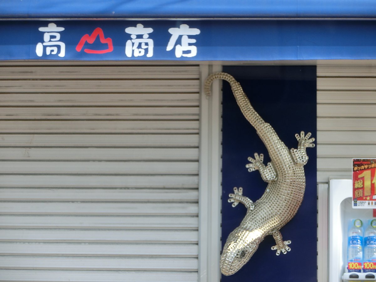 ��̕���