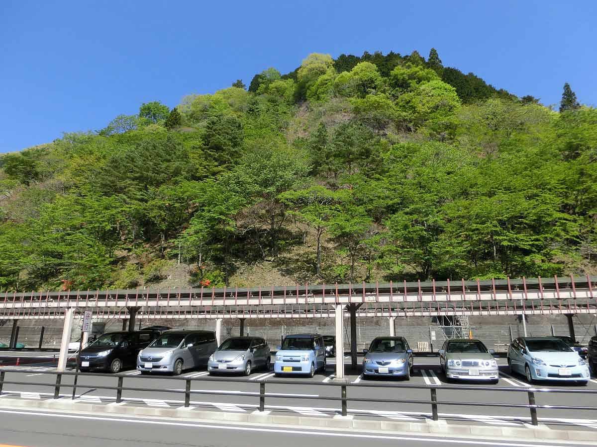 ��̕���