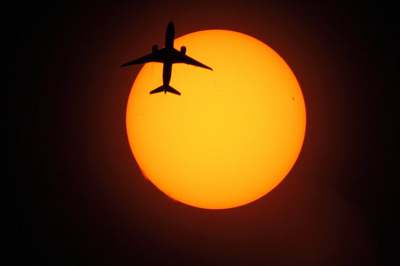 ��̕���