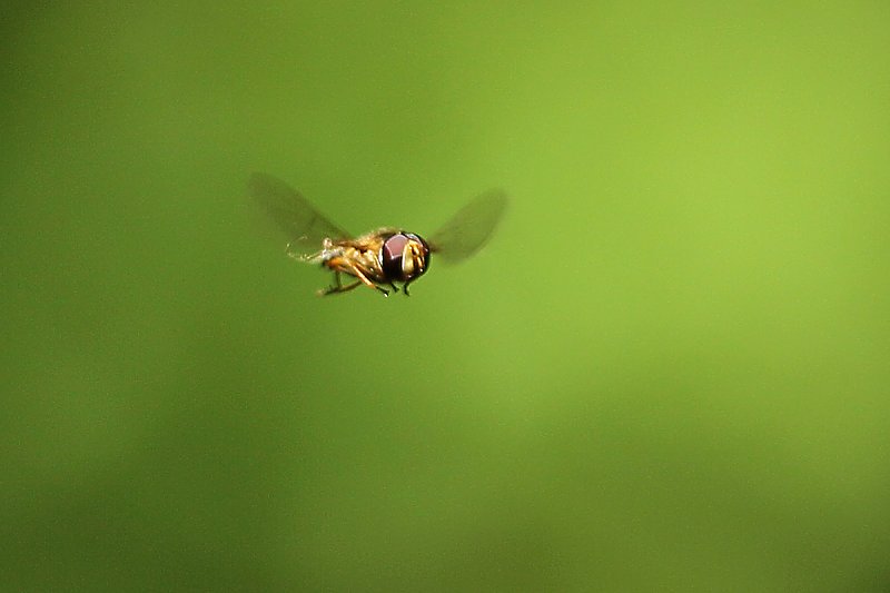 ��̕���