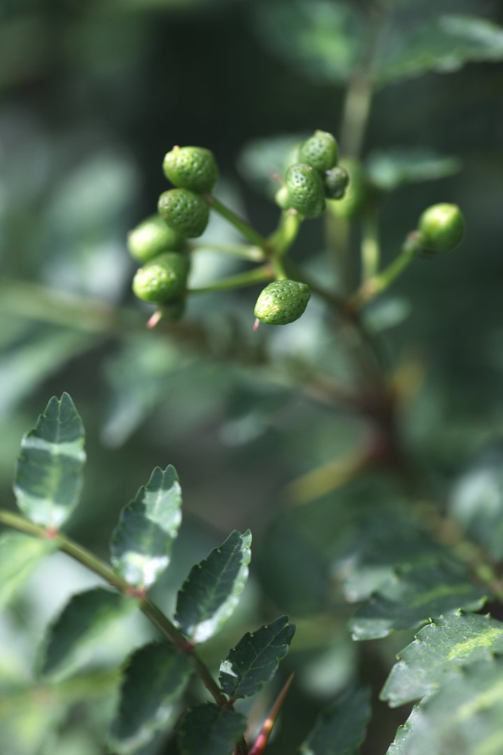 ��̕���