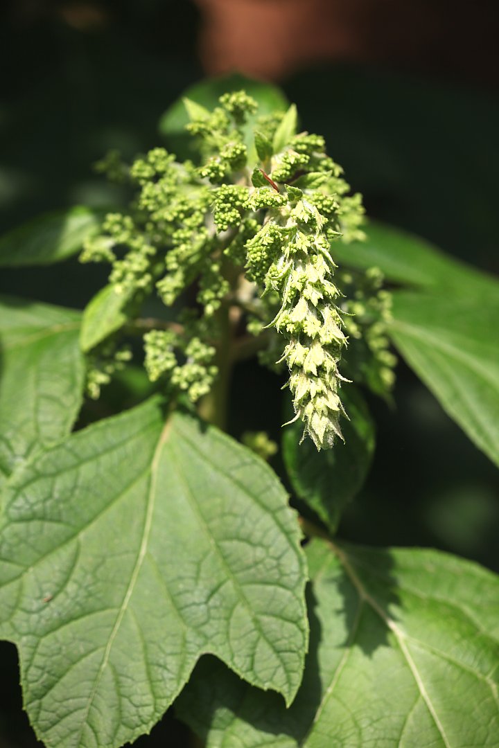 ��̕���