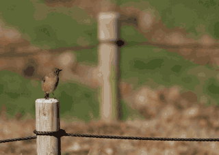 ��̕���