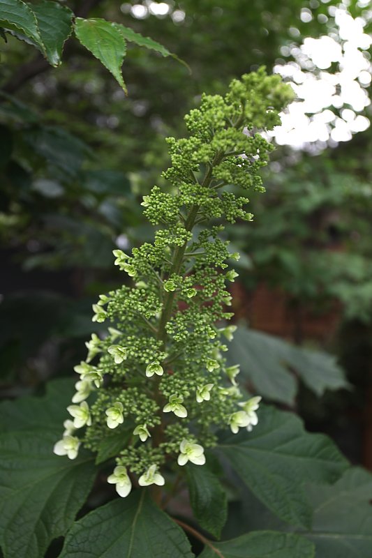 ��̕���