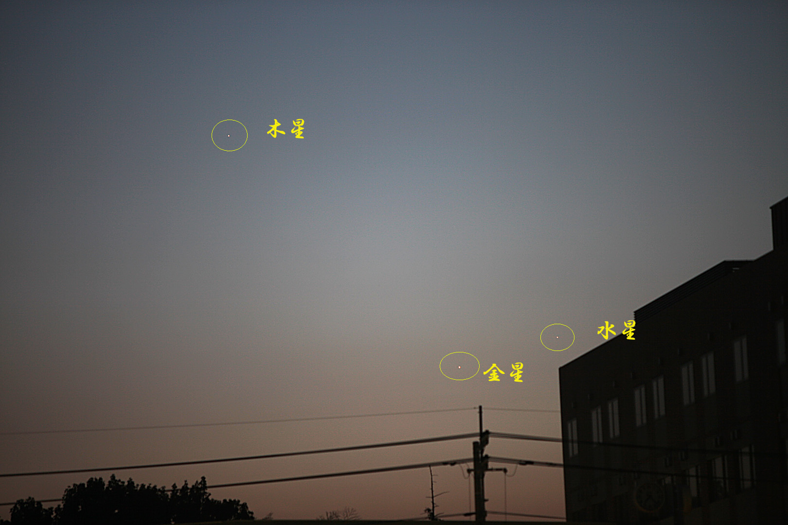 ��̕���