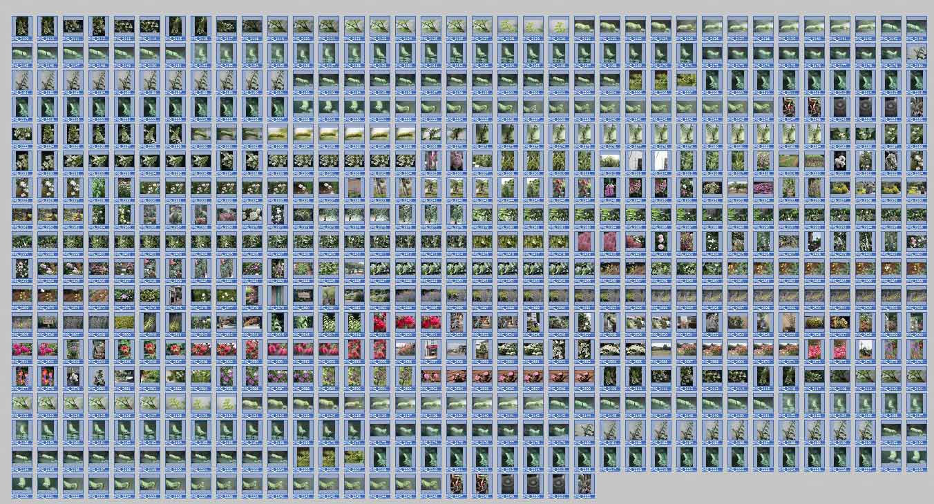 ��̕���