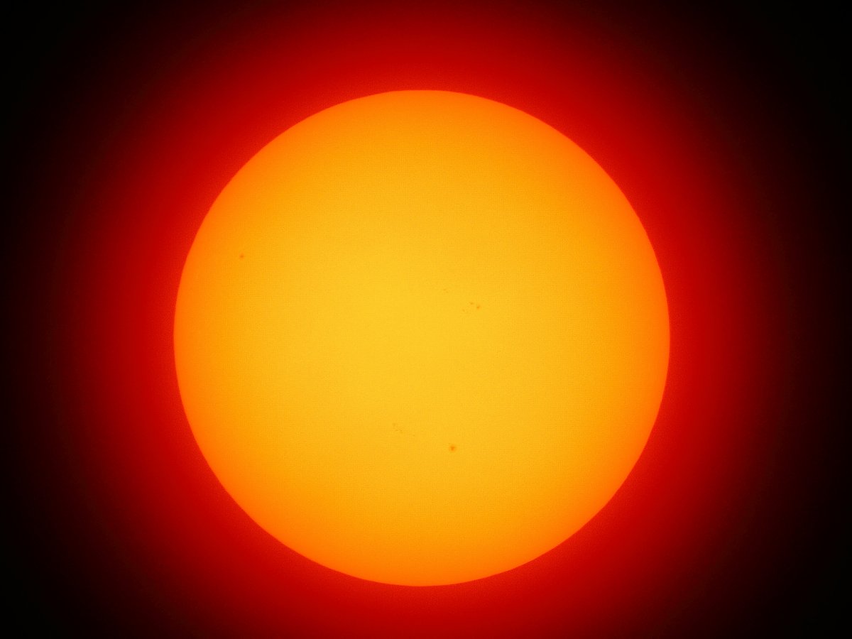 ��̕���