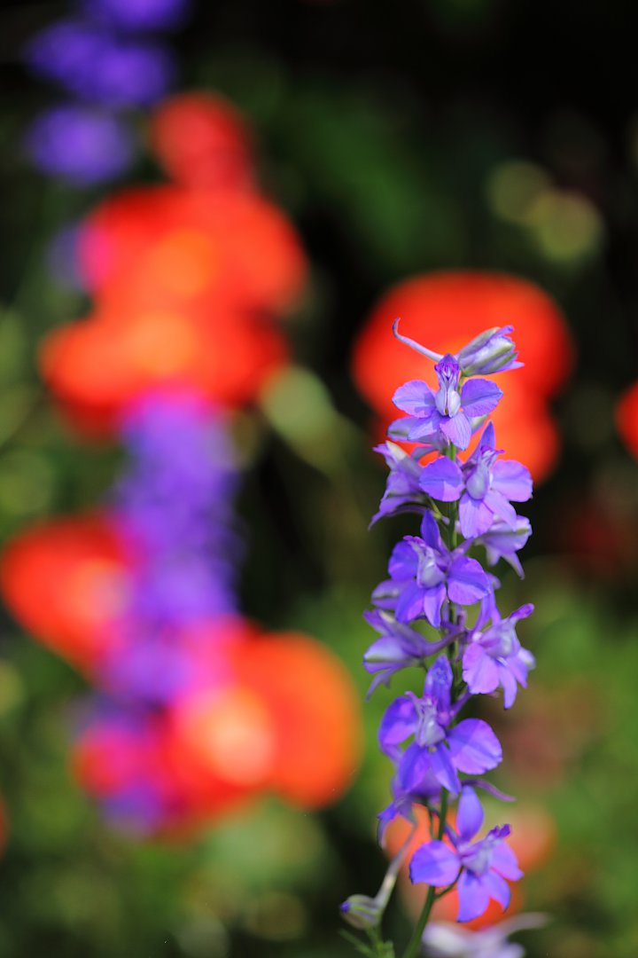 ��̕���